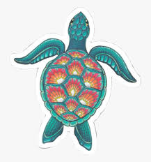 5 Reasons Why People Love Turtle Sticker 7 An Idea Decoration For Your Stuff